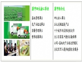 源甲餐饮 专业服务覆盖多元区域，为您的餐饮管理提供一站式解决方案