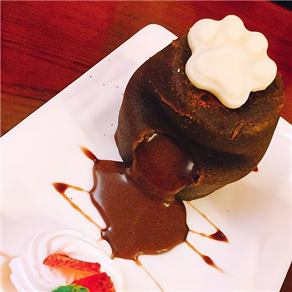 小世界猫主题西餐厅 当精致餐饮遇见温暖陪伴